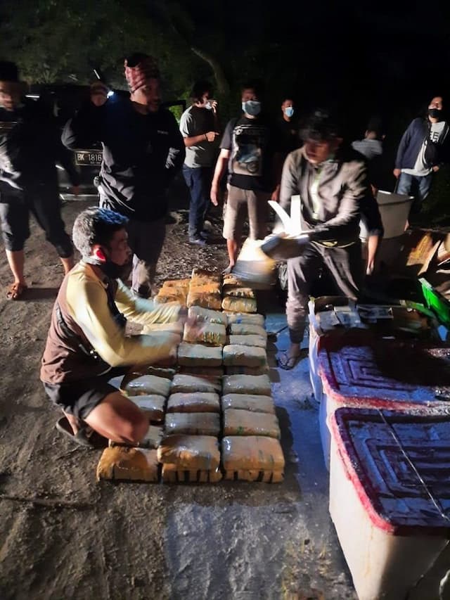 bnn_pusat_amankan_141_kg_ganja_di_medan