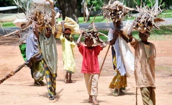 pekerja_anak_terus_meningkat_di_dunia