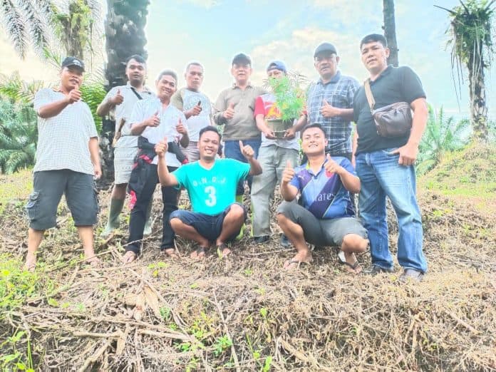 penanam_ganja_di_ladang_digari_polisi