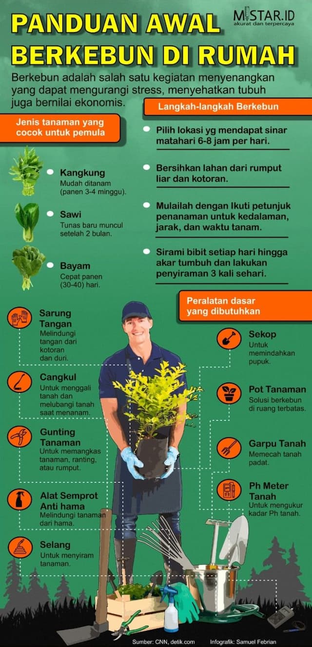 tips_panduan_awal_berkebun_di_rumah